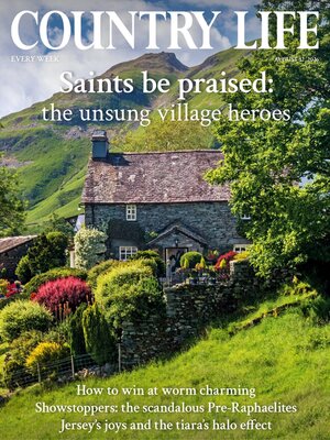 cover image of Country Life